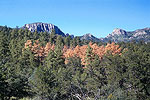 Texas Mountains