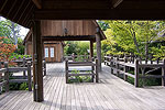 Tranquil Gardens