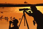 Birding