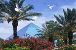 Moody Gardens