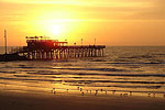 Ocean Sunset