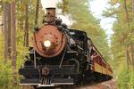 Texas State Railroad