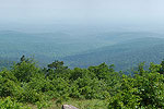 Scenic Splendor