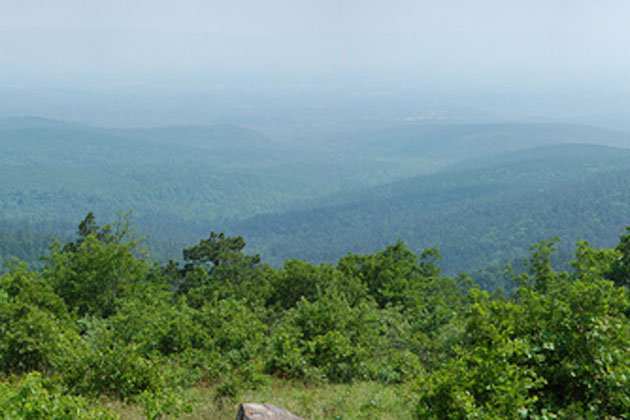Scenic Splendor