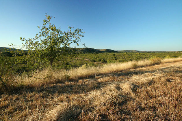 Texas Landscape