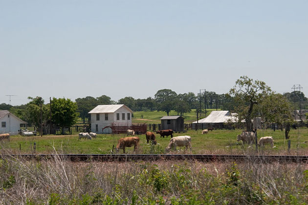 Texas Locals