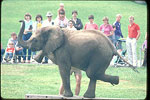 Point Defiance Zoo