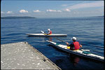 Kayakers