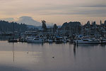 Rainer View