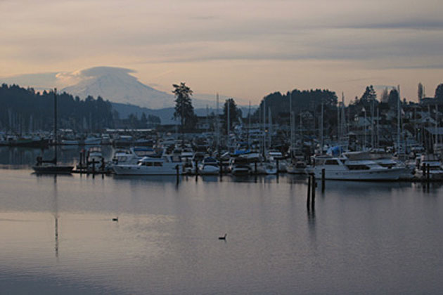 Rainer View