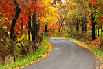 Fall Color Images
