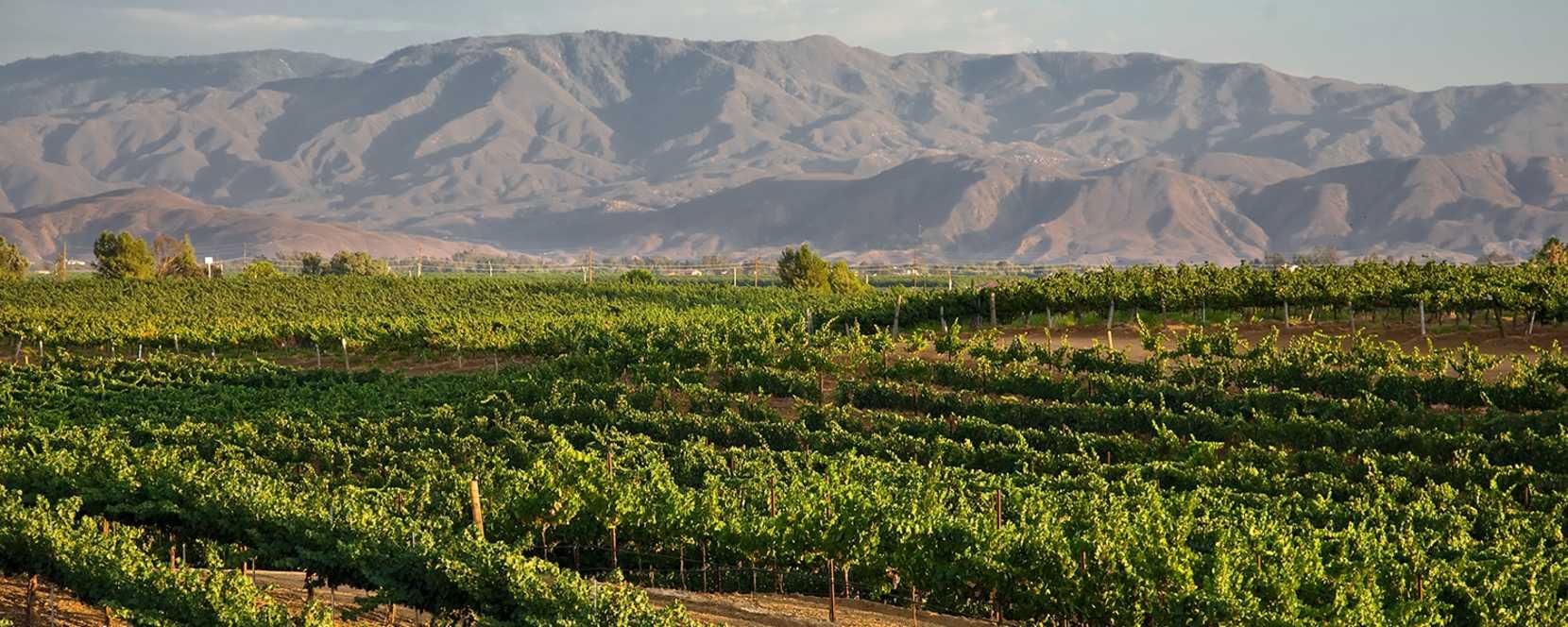 Visit Temecula Valley