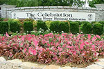 The Celebration