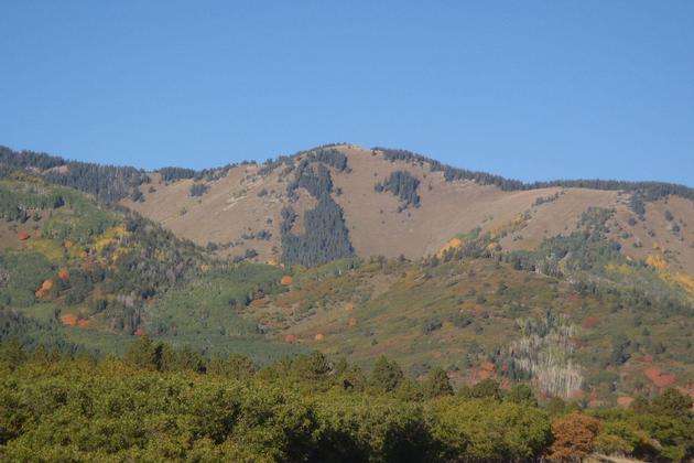 Beautiful colors of the Abajo Mountains