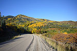 Fall in the Abajo Mountains