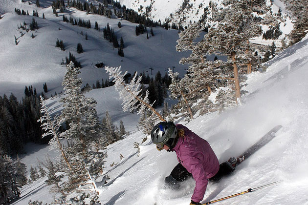 Telemark Skiing