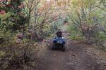 ATV riding on Loveland Lane