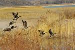 Bear Lake National Wildlife Refuge