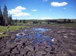 Boulder Mountain Stepping Stones