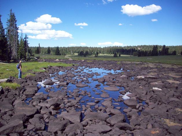 Boulder Mountain Stepping Stones