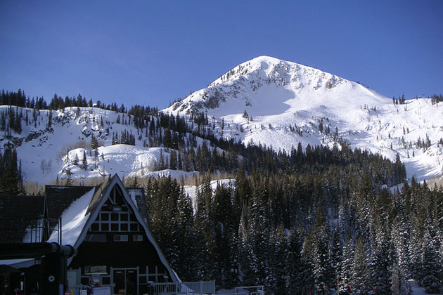 The Brighton A-Frame