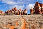 Hiking near Monticello at The Needles in Canyonlands