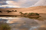 Umpqua Dunes