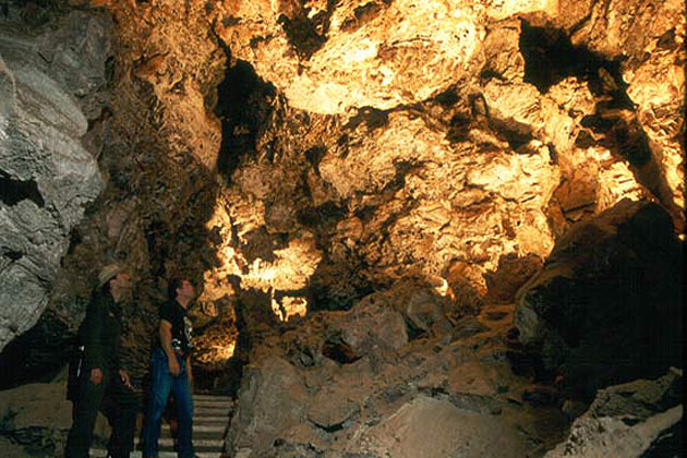 Underground Wilderness