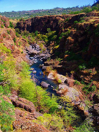 Upper Bidwell Park