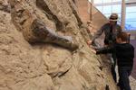 Dinosaur National Monument