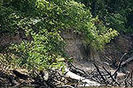 Paddling Village Creek