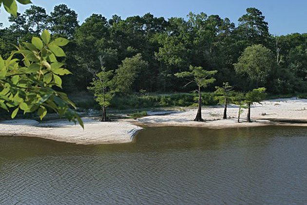 Village Creek Banks