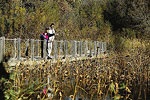 DeSoto National Wildlife Refuge