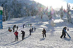 Winter Fun