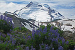 Glacial Peaks
