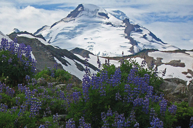Glacial Peaks