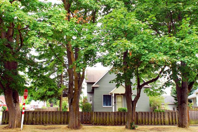 Homes in Lincoln Historic District