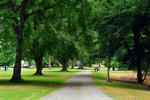 Lincoln Park