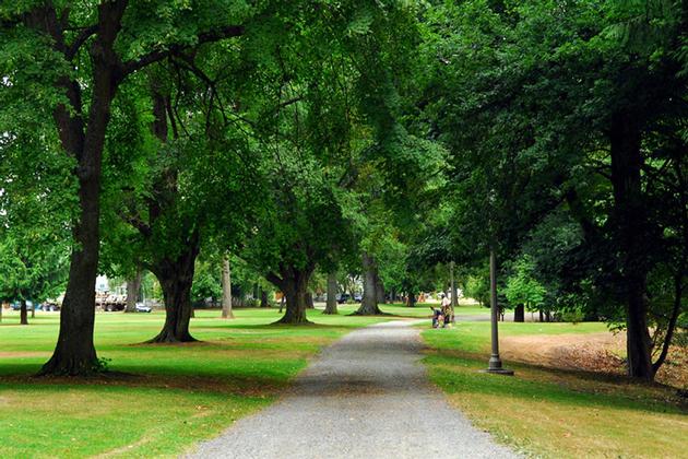 Lincoln Park