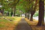 Thompson Ave. in early Fall