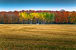 Door County Autumn