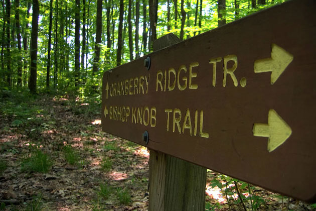 Monongahela National Forest Hiking