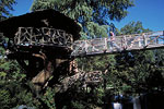 Witte Museum