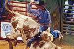 YMBL Championship Rodeo