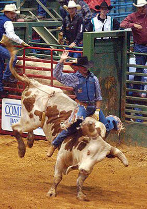 YMBL Championship Rodeo