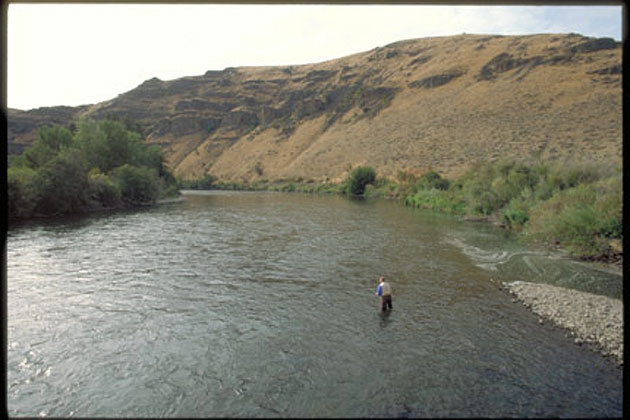 Fishing