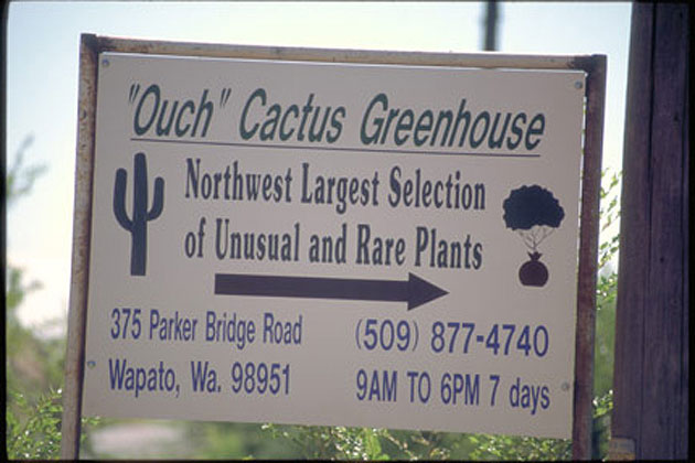 Cactus Greenhouse