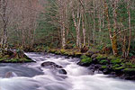 Zigzag River