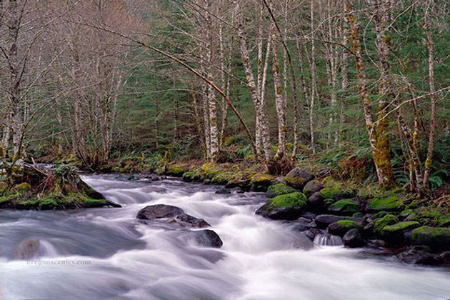 Zigzag River