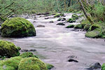 Zigzag River